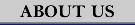 About Us Button